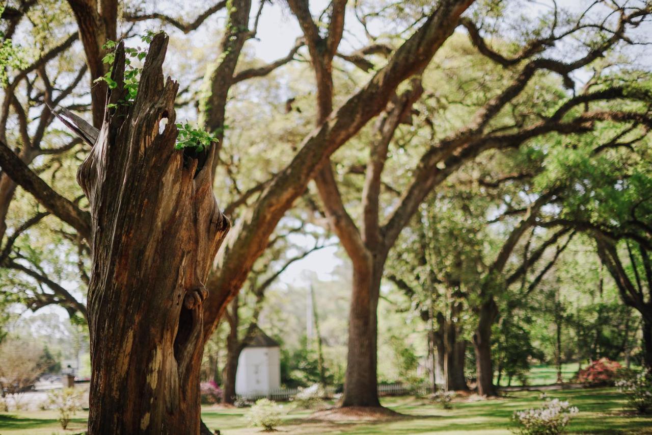 Bed and Breakfast The Myrtles Saint Francisville Exterior foto
