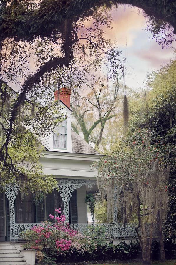 Bed and Breakfast The Myrtles Saint Francisville Exterior foto